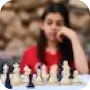 Chess game 